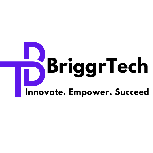 Briggr Technologies LTD