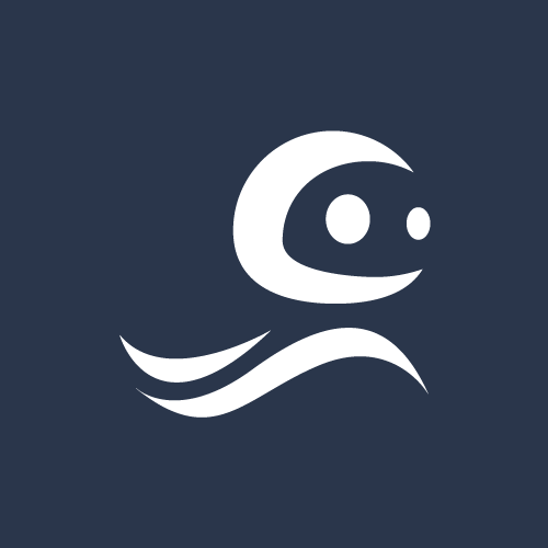 Code Surfer Ltd.