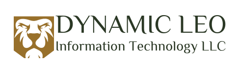 Dynamic Leo Information Technology LLC