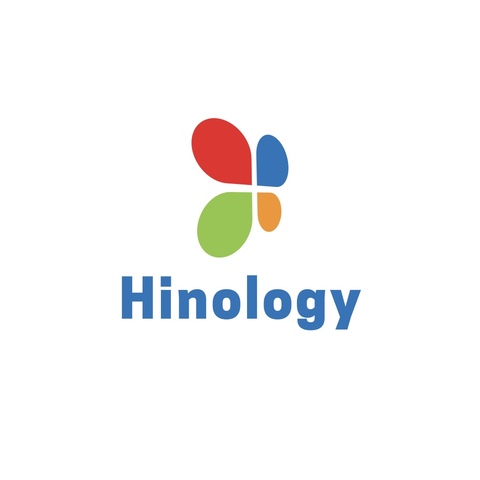 Hinology Technology Consulting LLC