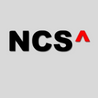 Nenosystems Consulting Services Ltd