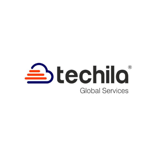 Techila Global Services