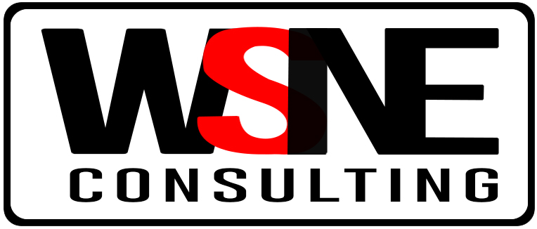 WSNE Consulting