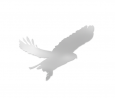 LLC Eastern Technologies