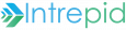 Intrepid IT Services