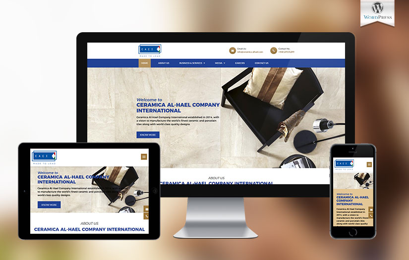 Website for Ceramic industry client screenshot 1