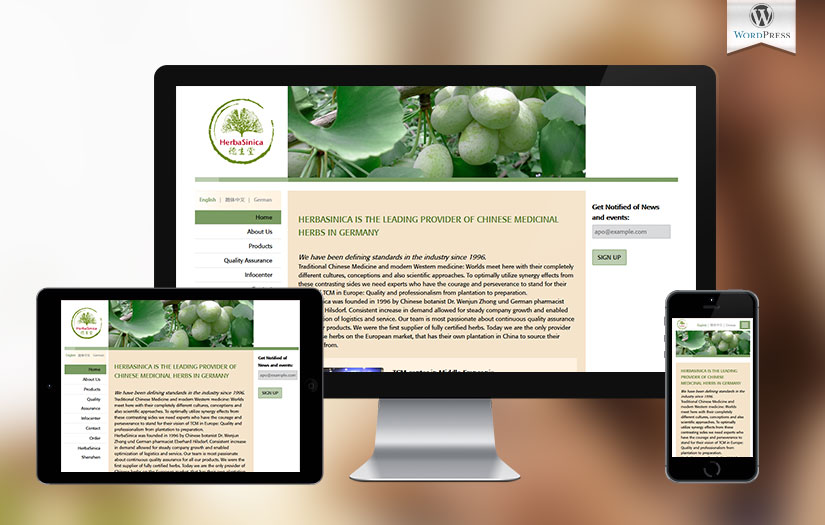 Informative website for herbal medicines screenshot 1