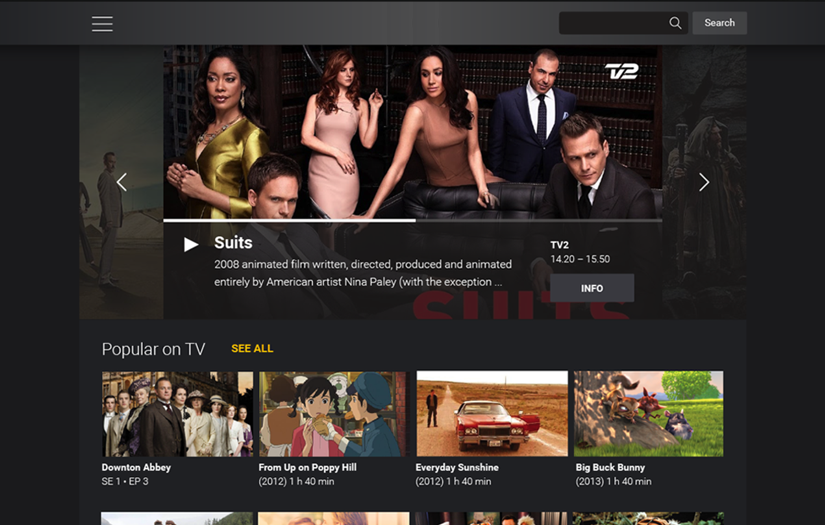 HYBRID MOBILE TV APPS screenshot 1