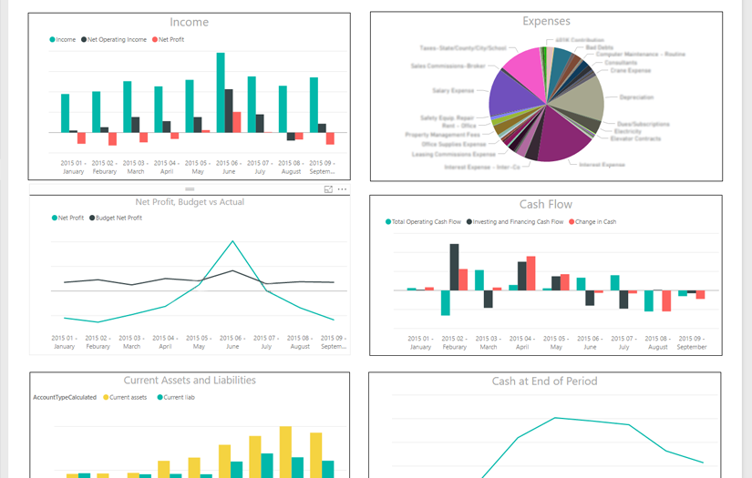 Financial Analysis for a US-based International Real Estate Developer screenshot 1