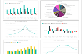 Financial Analysis for a US-based International Real Estate Developer