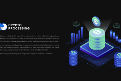 Crypto Processing 