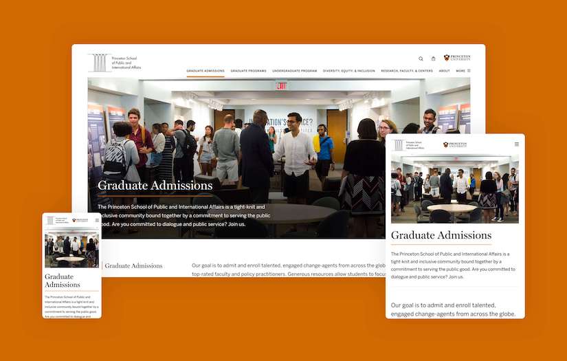 Princeton University Press screenshot 1