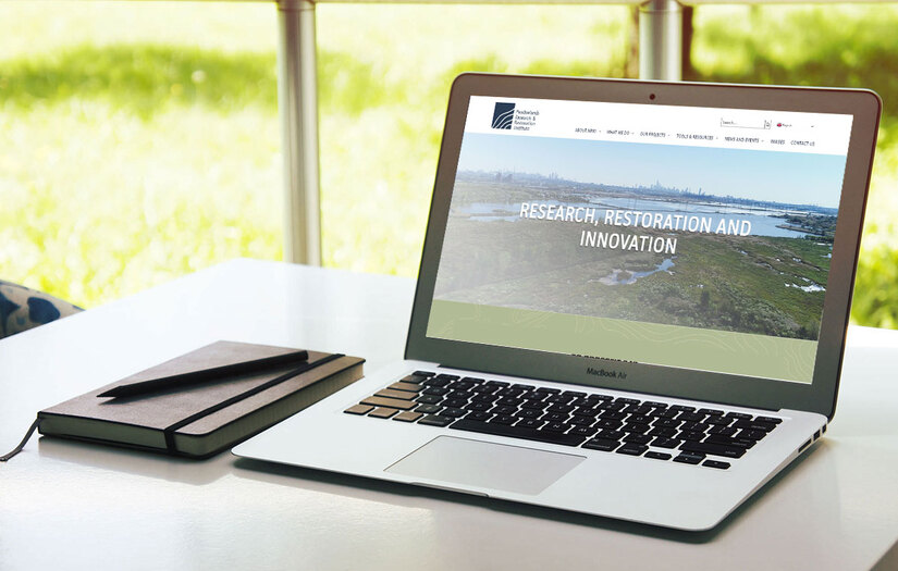 Website Design For MRRI screenshot 1