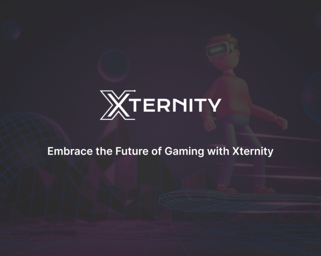 Xternity: Multi-chain NFT Marketplace and VMS Development screenshot 1