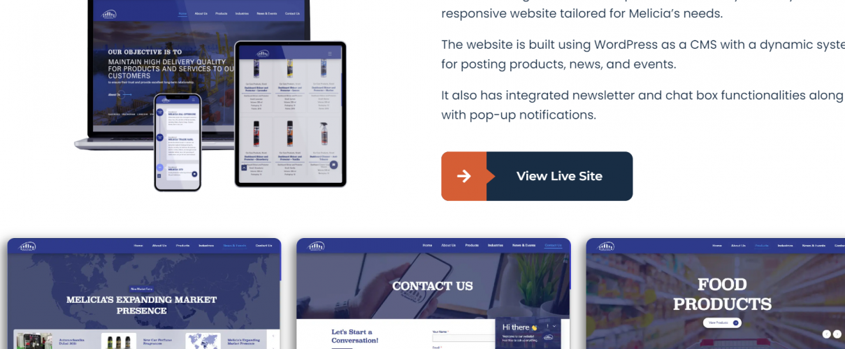 Website Development for Melicia screenshot 1