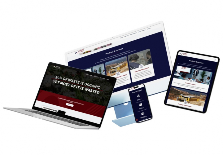 Alterba WordPress Website Development screenshot 1