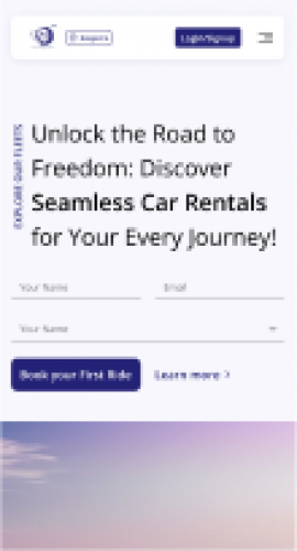 Optimizing processes for a leading luxury car rental service. screenshot 1