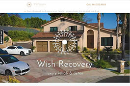 Custom software development for rehab clinic