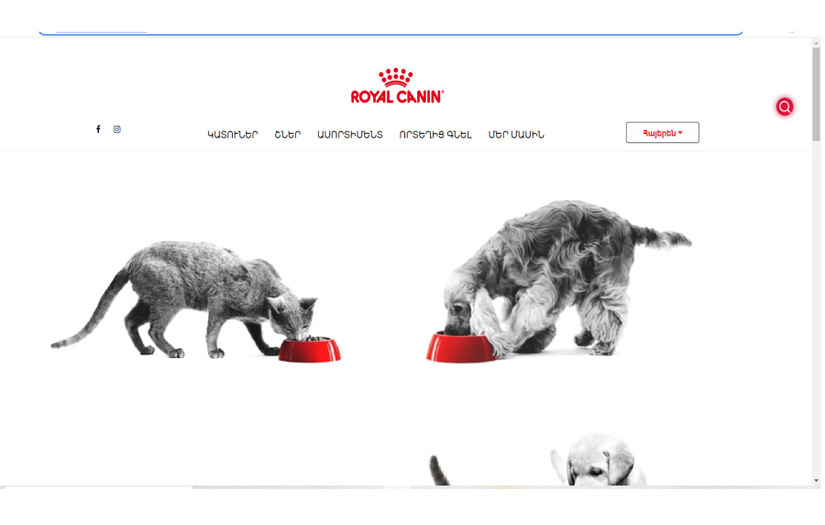 Royal Canin screenshot 2
