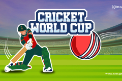 Cricket World Cup Sports Game Developed By NapTech Labs