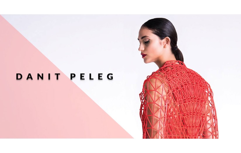 DANIT PELEG screenshot 1