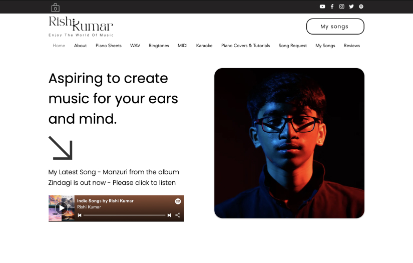 SEO and web design for famous Indian musician screenshot 1