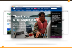 Designing A Clear And Informative Website for Smithsonian