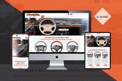 wheelskins
