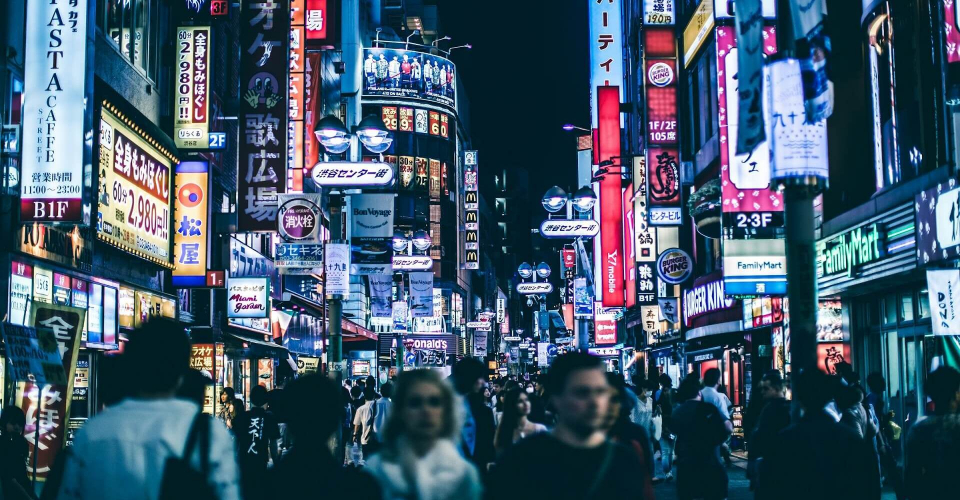 Promotion of The Website of Outdoor Advertising Software Developers screenshot 1