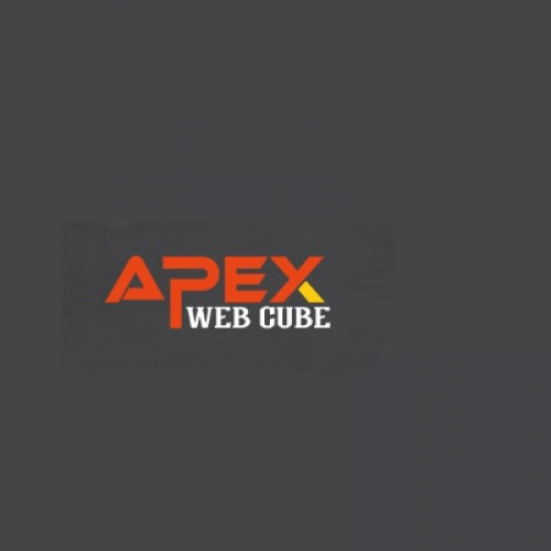 Apex Web Cube screenshot 1