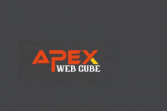 Apex Web Cube