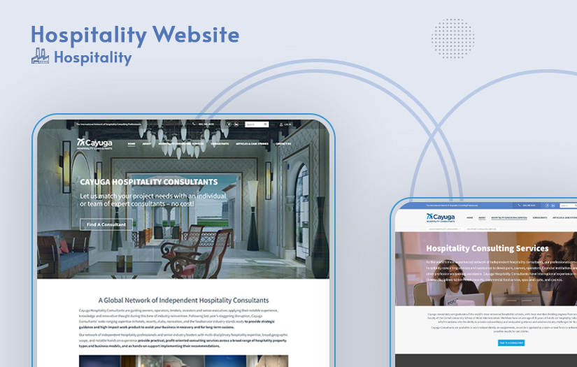 Hospitality Consultant Website screenshot 1