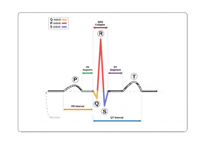 AI ECG Interpretation: Revolutionizing electrocardiogram interpretation through AI. screenshot 3