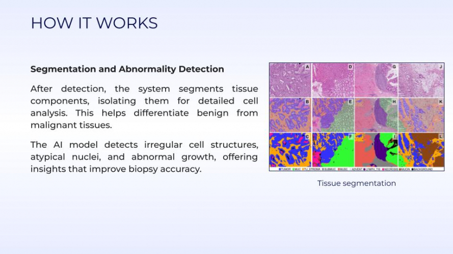 AI-Powered Biopsy Analysis screenshot 3