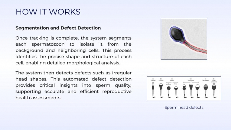 AI Assistant For Sperm Tracking screenshot 1