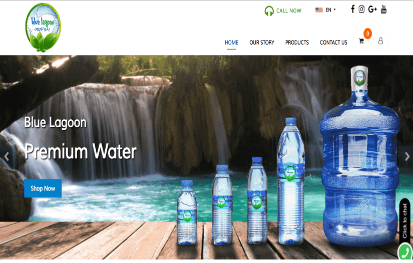 Website screenshot 1