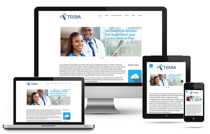 TEEBA Website screenshot 1