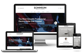 Somnium Guitars