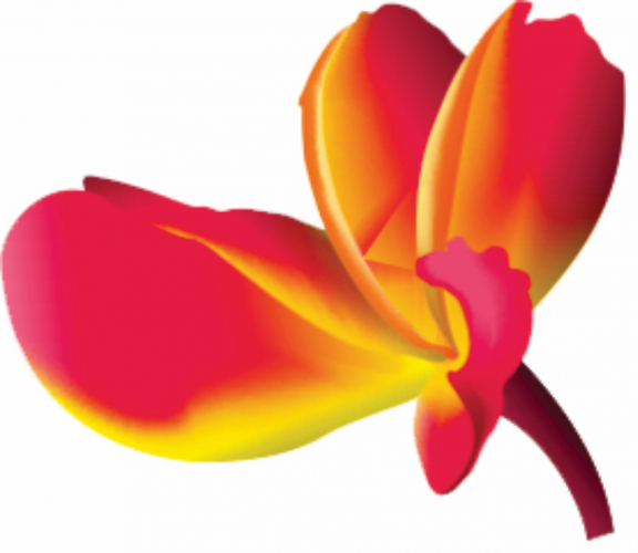 Dr Nandita Rane's Eye Clinic  screenshot 1