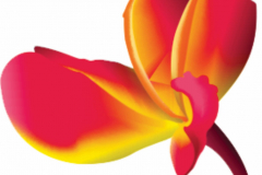 Dr Nandita Rane's Eye Clinic 