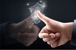 Custom Integration of Integrated Security System and Burglar Alarm Security System