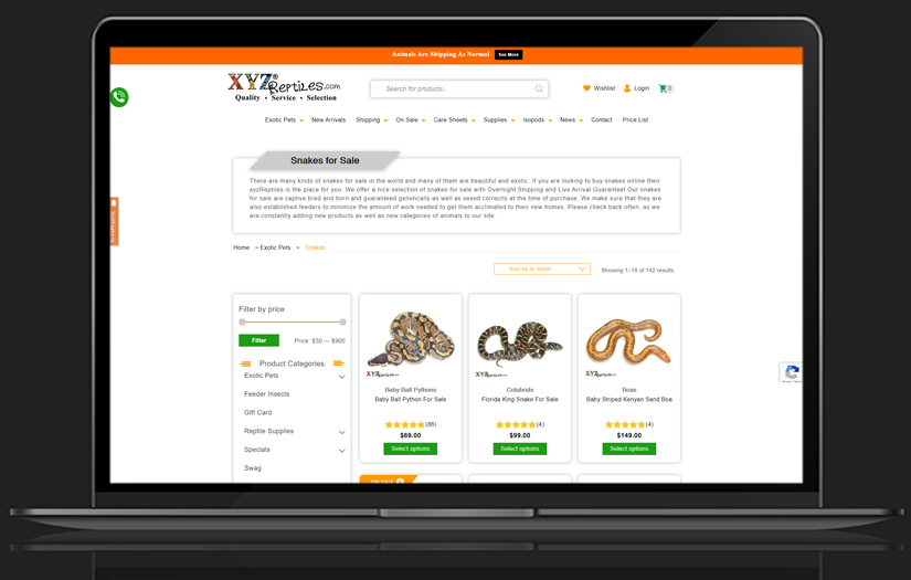 XYZ Reptiles | WordPress | eCommerce Website Development screenshot 8