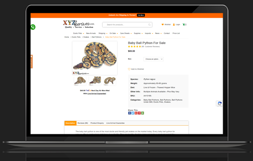 XYZ Reptiles | WordPress | eCommerce Website Development screenshot 10