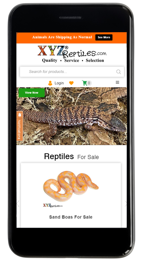 XYZ Reptiles | WordPress | eCommerce Website Development screenshot 1