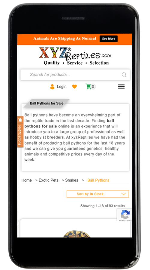 XYZ Reptiles | WordPress | eCommerce Website Development screenshot 4