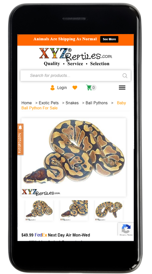 XYZ Reptiles | WordPress | eCommerce Website Development screenshot 5