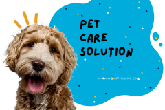 Pet Care Solution