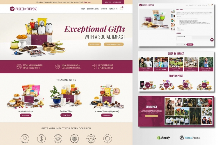 WordPress & Shopify Development Work screenshot 1