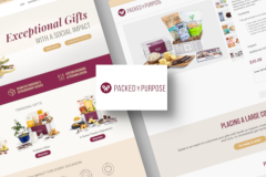 WordPress & Shopify Development Work