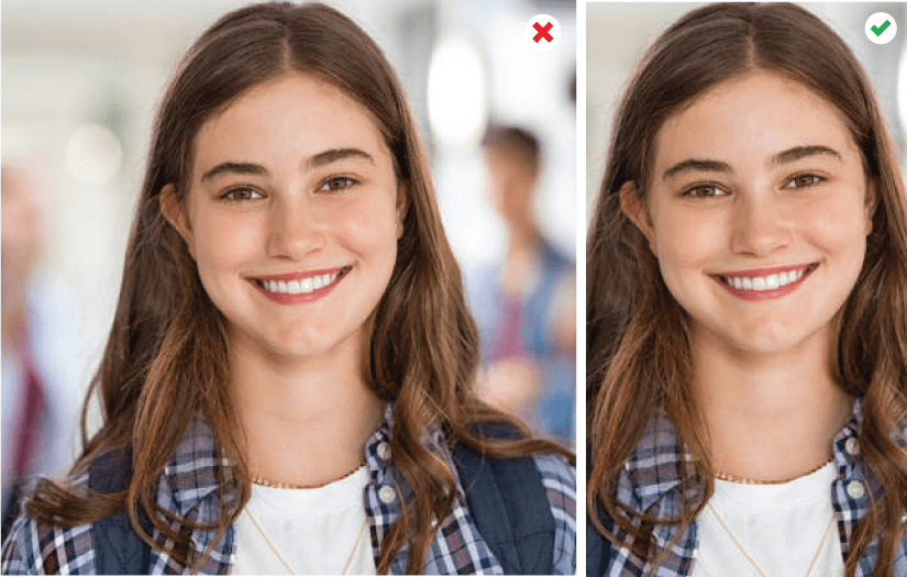 Face Recognition for the Education Industry screenshot 2